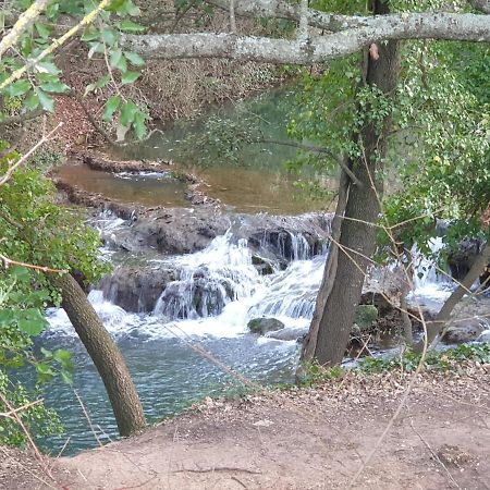 4 Safraniers Bed and Breakfast Sillans-la Cascade Εξωτερικό φωτογραφία