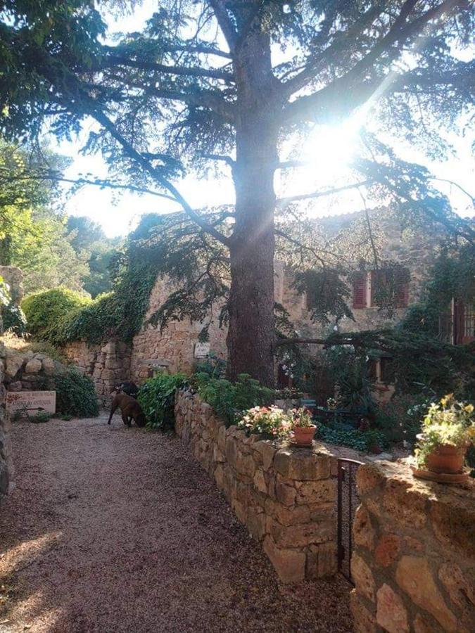 4 Safraniers Bed and Breakfast Sillans-la Cascade Εξωτερικό φωτογραφία